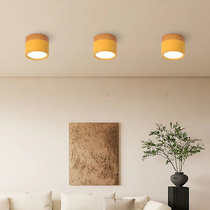 Minimalistyczna Cylindryczna Lampa Sufitowa LED