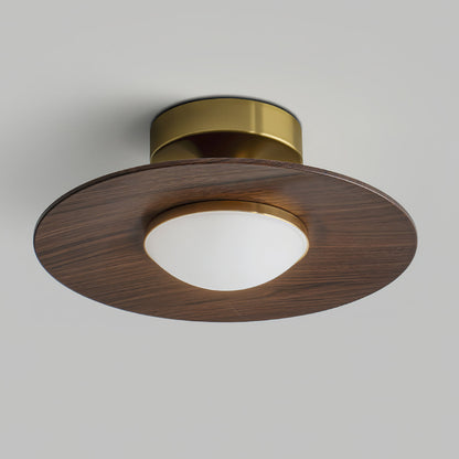 Nowoczesna Lampa Sufitowa LED Plafon Z Dekoracyjnym Akcentem