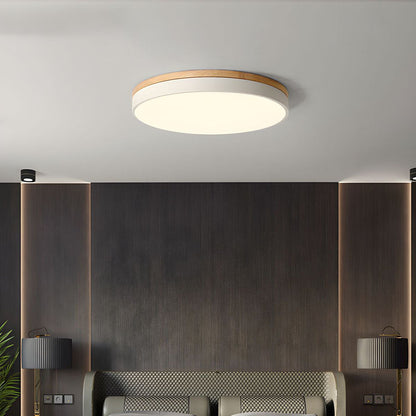 Nowoczesna Okrągła Lampa Sufitowa LED Z Naturalnym Akcentem