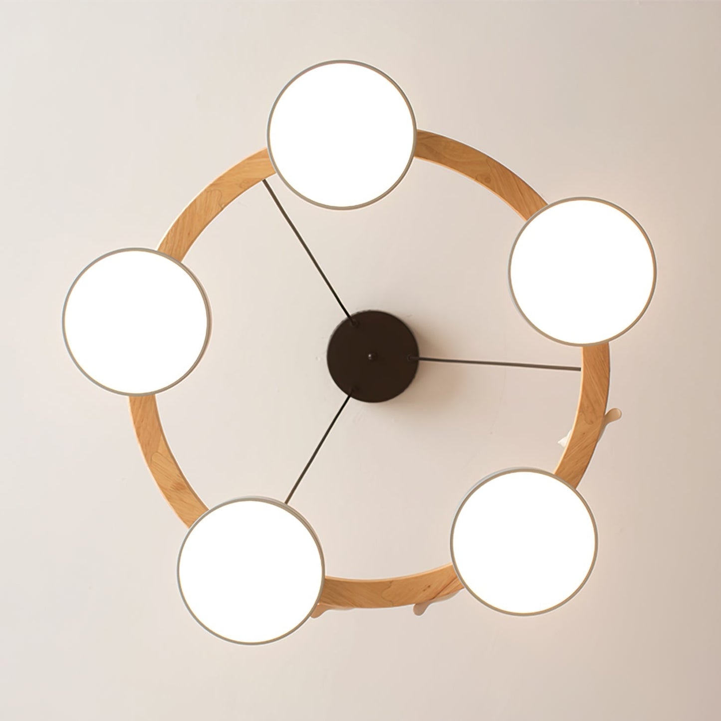 Nowoczesny Żyrandol LED Lampa Wisząca Okrągła Z Motywem Ptaka