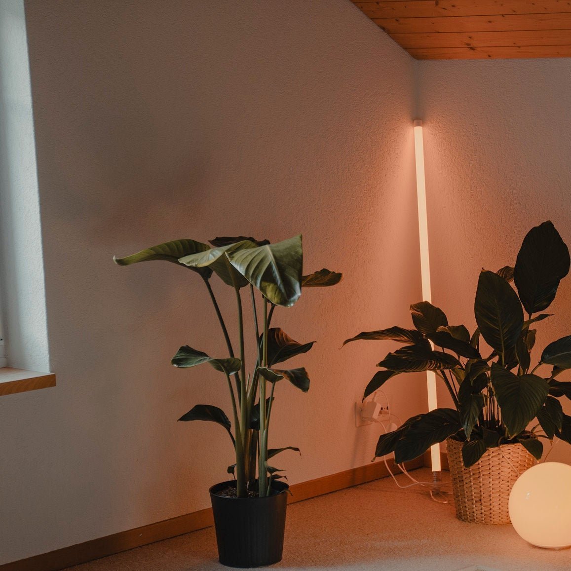 Kolorowa Neonowa Lampa Podłogowa LED Rurka Hero