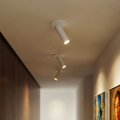 Minimalistyczna Aluminiowa Lampa Sufitowa LED Regulowana Alternate