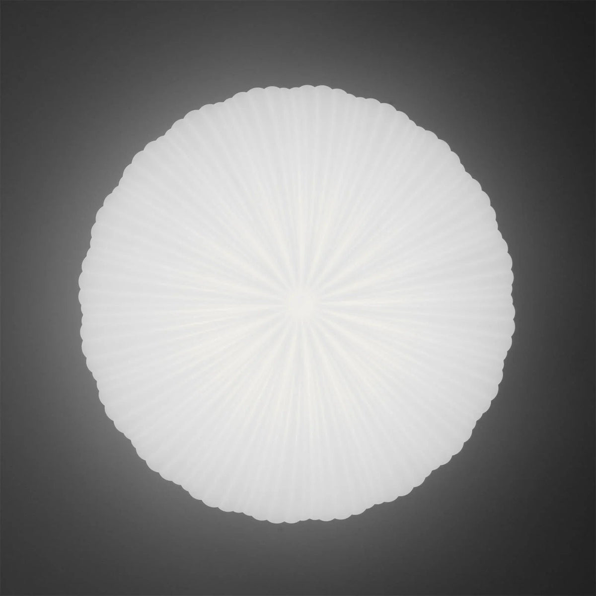 Nowoczesna Lampa Sufitowa Kopułowa w Stylu Japandi Inspirowana Muszlą Angle