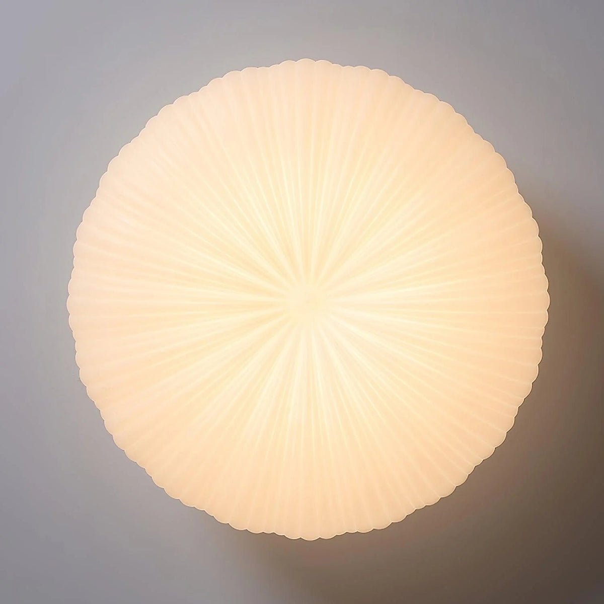 Nowoczesna Lampa Sufitowa Kopułowa w Stylu Japandi Inspirowana Muszlą Back
